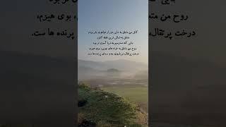 ولی ب گمونم شمالیا سه_هیچ جلون #کلیپ_من #اعتماد_به_نفس #رویا #اراده #زندگی #دریا #باران #جنگل #طبیعت