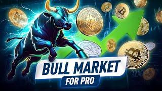 Bitcoin Bull Market 2024: How to Spot the Next Price Surge