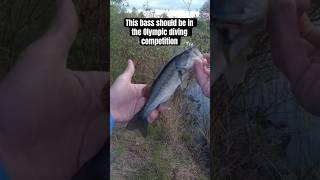 This LARGEMOUTH BASS should be in the Olympics! #shorts #bassfishing #fishing #fishingvideo #fish