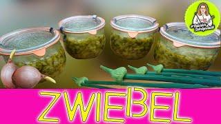 Zwiebeln konservieren, Zwiebel Paste, Zwiebel Grundstock, nie wieder keimende Zwiebeln