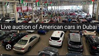 cheapest car market in Dubai. American cars in Dubai. used cars for sale in Sharjah