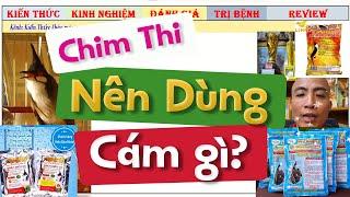 Theo bạn, Chim Chào Mào Thi Đấu Thường Sử Dụng Dòng Cám nào là Ổn Định Nhất?
