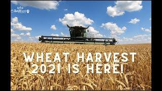 Wheat Harvest 2021 @ Ruby Branch Farms