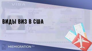 Виды виз в США