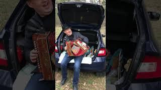 Паша гармонист на природе. Спето сердцем!!!