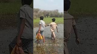 மொத்த மீனு இந்த கூட்டைக் குள்ளதான் இருக்கு#shorts# fishing video Anbu views