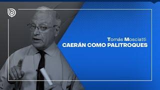 Comentario de Tomás Mosciatti: Caerán como palitroques