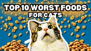 Top 10 Worst Foods for Cats