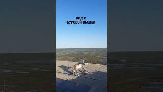КРАСИВЫЙ ВИД С БУРОВОЙ ВЫШКИ #ВЕСЕЛЫЙБУРОВИК #бурение #нефть #газ #реки #oil #роснефть