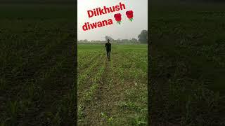 dilkhush deewana ka super hit video 