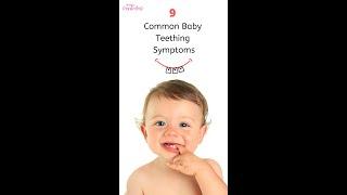 9 Common Baby Teething Signs & Symptoms | Baby Teething Symptoms | Baby Teething Signs