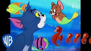 Tom y Jerry en Latino | Aventuras submarinas  | WB Kids