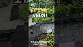 #상처에서 벗어나기#용서#삶의상처