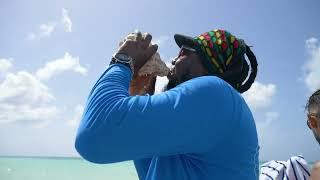 Caicos Dream Tours Dream Day Excursion Reel #2