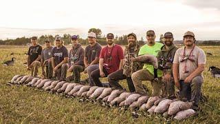 Back to Back 8 & 10 Man Evening Limits! EARLY GOOSE HUNTING WA STATE (Part 2)