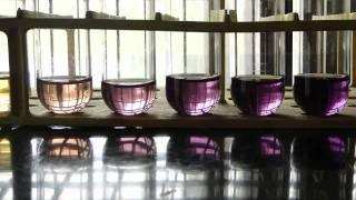 Quantitative Estimation of Aminoacids by Ninhydrin Method - Amrita University