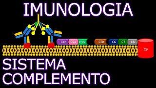 Aula: Imunologia - Sistema Complemento | Imunologia #8