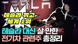 "테슬라 꺾고 세계 1위" 테슬라 대신 살 만한 전기차 관련주 총정리