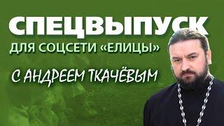 Специальное обращение отца Андрея Ткачева к пользователям соцсети "Елицы"