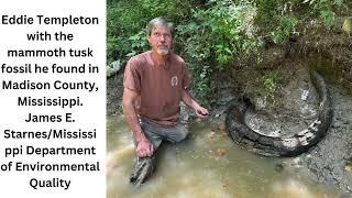 7-foot-long mammoth tusk found in Mississippi creek in rare discovery