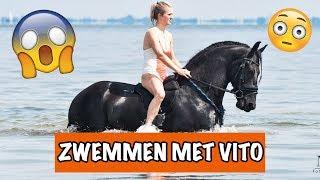 KAN VITO ZWEMMEN? | PaardenpraatTV