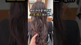 5년째 몰랐던 헤어케어의 진실 #스타일링 #머릿결관리