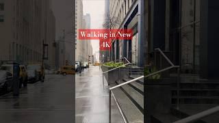 Experience the Best of New York City | Full Walking Tour 2025