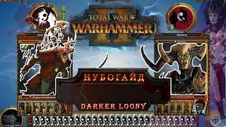 Нубогайд: Total War - WARHAMMER II- Бретония, гайд , мнение рака )