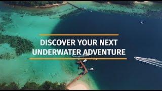 ZuBlu | Discover Your Next Underwater Adventure