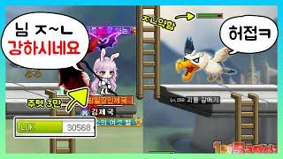 260렙 찍어 세르니움에서 원킬 안뜨는건 정상이에요..! (메이플스토리)