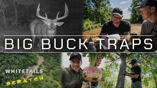 BIG BUCK TRAPS | 10 Habitat Improvements for GIANT Whitetails...