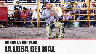 BANDA LA JARIPERA -  LA LOBA DEL MAL [ Video Oficial ] MusiCanal