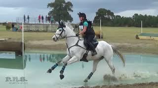 Olivia Coolidge & Bold Impression Texas Rose Horse Trials November 2017