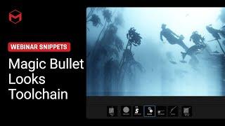 Understanding Magic Bullet Looks Toolchain