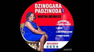 Dzinogara Padzinoda by Martha Dhliwayo