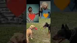 Local Danish vs Local Sidhu vs Legend Nishu  #blender #nishudeshwal #youtubeshorts