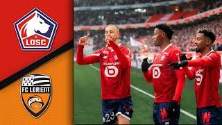 LOSC-FCL (3-0) : Goals & Highlights ️