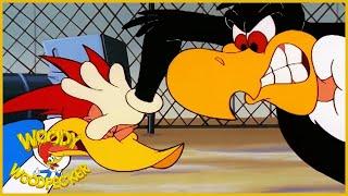 Woody Woodpecker | Bonus Round Woody | Woody Woodpecker Full Episodes | Kids Cartoon