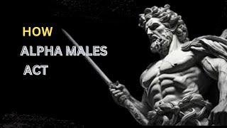 "The Stoic Alpha: Unveiling the Wisdom of Stoicism in Alpha Male Behavior"