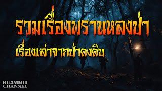 รวมเรื่องพรานหลงป่า | เรื่องเล่าจากป่าดงดิบ (ฟังยาวต่อเนื่อง 3 ชั่วโมง)