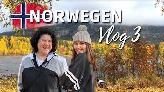 Norwegen Vlog Teil 3 | Unterwegs mit Hund und Wohnmobil | Kriss Colours