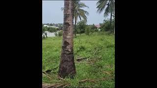 Plot for sale Tsh 70 millions,Located in Goba Kinzudi, Dar es salaam Tanzania,Plot size 1200 sqm