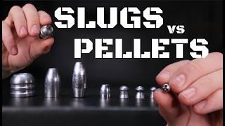 Pellets vs. Slugs | Which is Best For You?