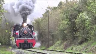 Tren de la Araucania y El Valdiviano...Guerra de Silbatos