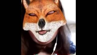 #Mefox