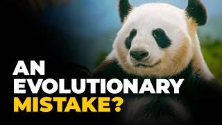 Why Pandas Are Impressively Bad at Existing