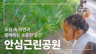 [대구 동구청 유튜브 기자단 1기] 도심 속 자연과 함께하는 소중한 공간 :: 대구 동구 안심근린공원 - 최윤하 기자