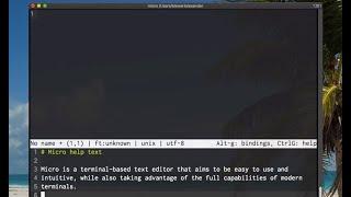 Micro - command line / CLI / Terminal text editor like Notepad++