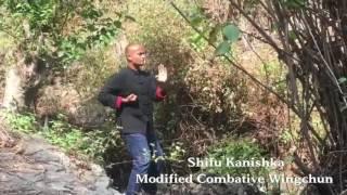 Shifu Kanishka Combative Wingchun