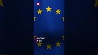 Нарастает напряжение между Польшей и Германией! #политика #украина #евросоюз #новости #туск #shorts